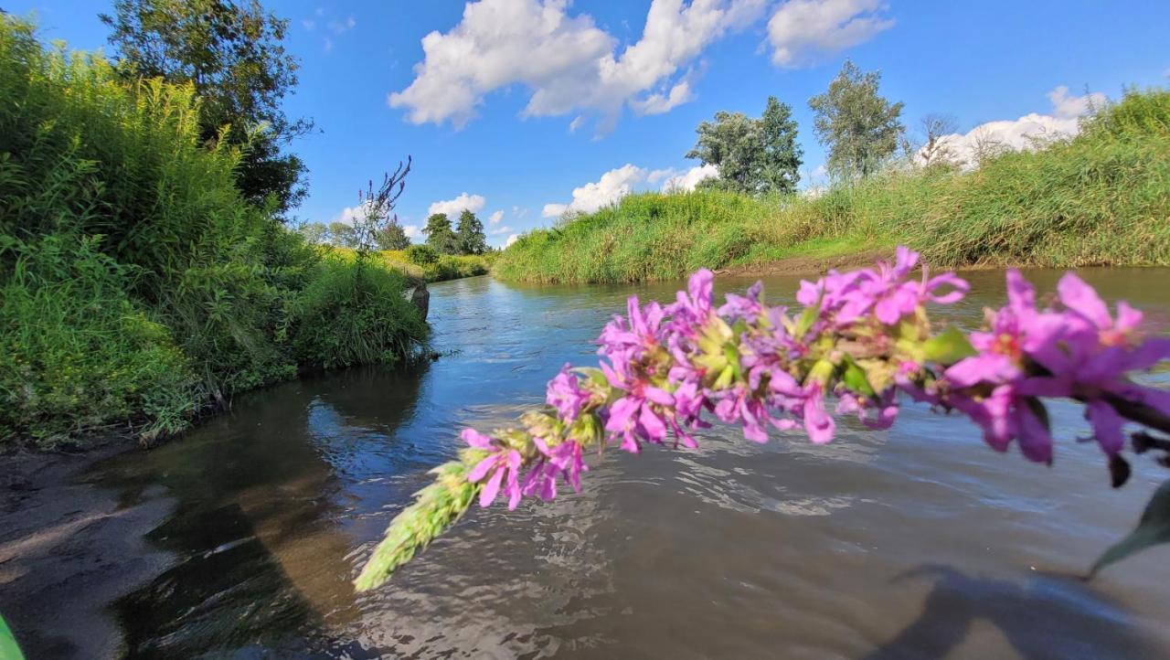 Domki Radawa Na Kliszowce Exterior foto
