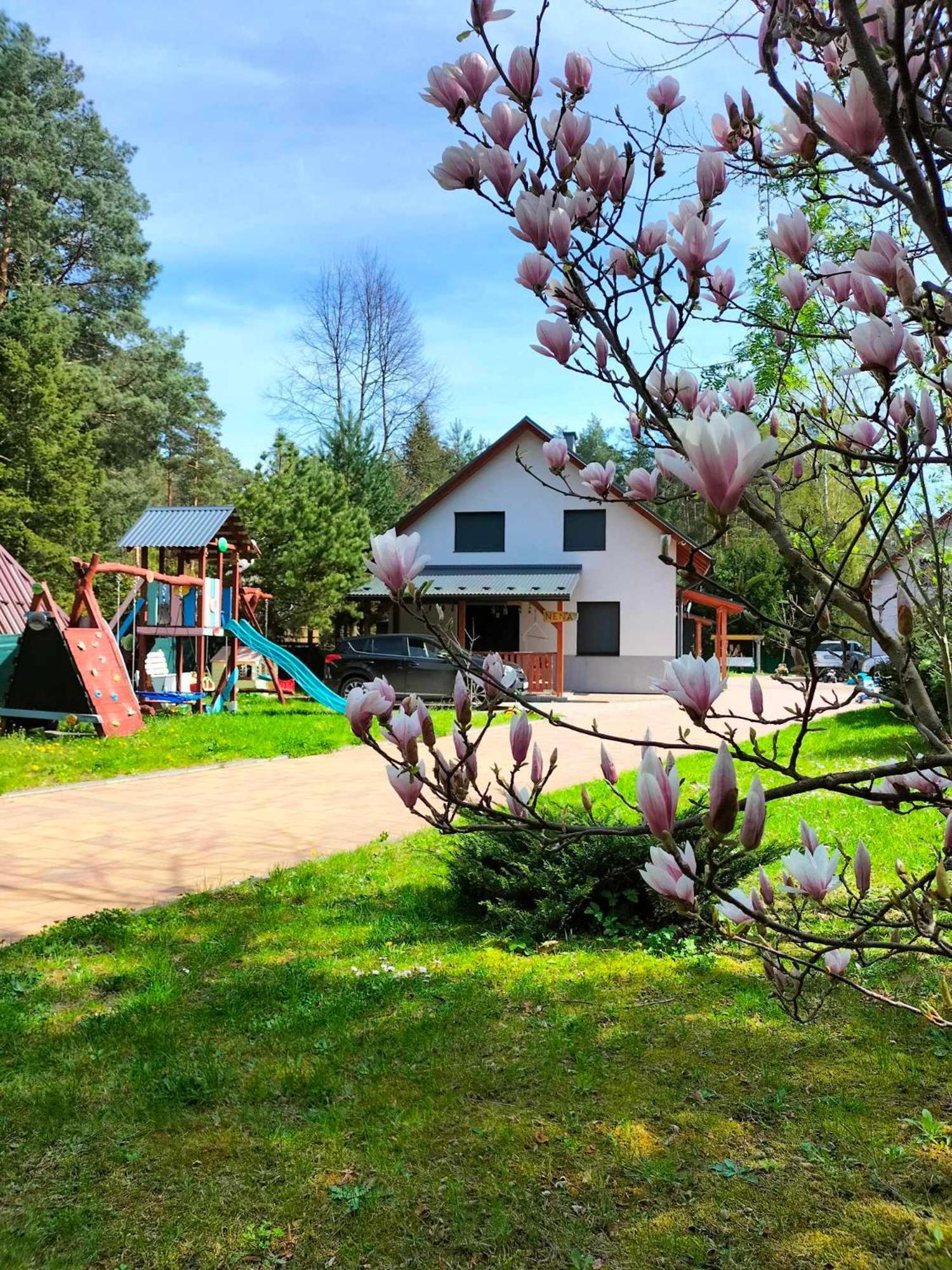 Domki Radawa Na Kliszowce Exterior foto